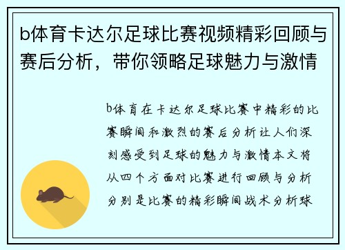 b体育卡达尔足球比赛视频精彩回顾与赛后分析，带你领略足球魅力与激情